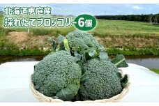 北海道恵庭産 採れたて ブロッコリー 6個 1.8kg前後 数量限定 万能野菜 ベジタブル オンライン 申請 ふるさと納税 北海道 恵庭 ぶろっこりー 甘い 栄養満点 野菜 鮮度抜群 新鮮 お弁当 おかず 恵庭市【80001001】