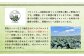 北海道恵庭産採れたてブロッコリー6個