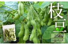 『★先行予約★8月初旬より順次発送』枝豆　250g×4パックセット　【31001301】