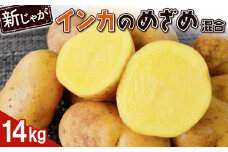 新じゃが インカのめざめ サイズ混合 14kg 芋 いも お芋 おいも オンライン 申請 ふるさと納税 北海道 恵庭 インカ じゃがいも ジャガイモ 甘い 濃厚 フライドポテト じゃがバター ポテトサラダ 根菜 野菜 恵庭市【83000101】