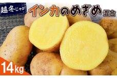 越冬じゃが インカのめざめ サイズ混合 14kg 芋 いも お芋 おいも オンライン 申請 ふるさと納税 北海道 恵庭 インカ じゃがいも ジャガイモ 甘い 濃厚 フライドポテト じゃがバター ポテトサラダ 根菜 野菜 恵庭市【83000201】