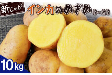 新じゃが インカのめざめ S～2Sサイズ 10kg 芋 いも お芋 おいも オンライン 申請 ふるさと納税 北海道 恵庭 インカ じゃがいも ジャガイモ 甘い 濃厚 フライドポテト じゃがバター ポテトサラダ 根菜 野菜 恵庭市【83000701】