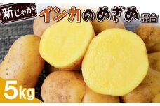 新じゃが インカのめざめ サイズ混合 5kg 芋 いも お芋 おいも オンライン 申請 ふるさと納税 北海道 恵庭 インカ じゃがいも ジャガイモ 甘い 濃厚 フライドポテト じゃがバター ポテトサラダ 根菜 野菜 恵庭市【83000901】