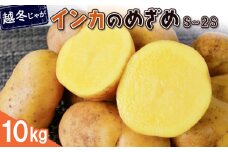 越冬じゃが インカのめざめ S～2Sサイズ 10kg 芋 いも お芋 おいも オンライン 申請 ふるさと納税 北海道 恵庭 インカ じゃがいも ジャガイモ 甘い 濃厚 フライドポテト じゃがバター ポテトサラダ 根菜 野菜 恵庭市【83001001】