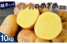 越冬じゃが インカのめざめ サイズ混合 10kg 芋 いも お芋 おいも オンライン 申請 ふるさと納税 北海道 恵庭 インカ じゃがいも ジャガイモ 甘い 濃厚 フライドポテト じゃがバター ポテトサラダ 根菜 野菜 恵庭市【83001101】