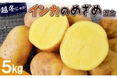 越冬じゃが インカのめざめ サイズ混合 5kg 芋 いも お芋 おいも オンライン 申請 ふるさと納税 北海道 恵庭 インカ じゃがいも ジャガイモ 甘い 濃厚 フライドポテト じゃがバター ポテトサラダ 根菜 野菜 恵庭市【83001202】