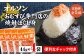 【定期便：全5回】オルソンおむすび専門店の焼鮭ほぐし身44ｇ×4袋