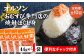 【定期便：全10回】オルソンおむすび専門店の焼鮭ほぐし身44ｇ×4袋
