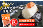 【定期便：全3回】オルソンおむすび専門店の焼鮭ほぐし身44ｇ×12袋