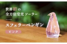 【世界初の全方位受光ソーラー】スフェラーペンギン（カラー：ピンク）【08000301】