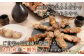 北海道産親鶏の精肉串　5本×3パック