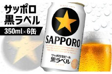 サッポロ黒ラベル 350ml 6缶 オンライン 申請 ふるさと納税 北海道 恵庭 サッポロビール 6本 サッポロ 黒ラベル ほどよい苦み コク 飲み飽きない 完璧 白い泡 クリーミーな泡 ビール 生ビール お酒 酒 晩酌 缶 恵庭市【880006】