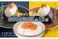 【月替わり定期便：全12回】オルソン定期便