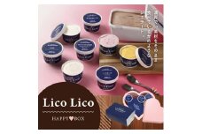 HAPPY BOX  LicoLicoジェラート定番ミルクチョコレート1L＆定番8種×1個セット【560012】