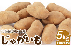 北海道恵庭市産 じゃがいも メークイン 5kg いも イモ 芋 ジャガイモ じゃが ジャガ 野菜 無農薬 無農薬野菜　健康 カレーライス シチュー 煮物 ふるさと納税 オンライン 北海道 恵庭市 恵庭【900001】