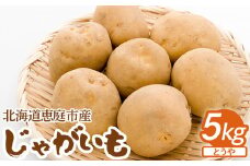 北海道恵庭市産 じゃがいも とうや 5kg トウヤ いも イモ 芋 ジャガイモ じゃが ジャガ 野菜 無農薬 無農薬野菜　健康 カレーライス シチュー 煮物 ふるさと納税 オンライン 北海道 恵庭市 恵庭【900002】