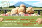 【サンマルコ食品】北海道の味　男爵ｺﾛｯｹ　40個セット
