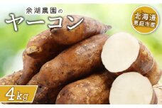 北海道恵庭市産 余湖農園のヤーコン4kg | オンライン申請 ふるさと納税 北海道 恵庭 ヤーコン 4kg 貴重 野菜 根菜 サラダ きんぴら 天ぷら 食物繊維 ポリフェノール ダイエット 健康 お取り寄せ ワンストップ マイページ 余湖農園 恵庭市【31001401】