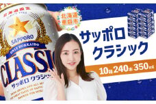 サッポロビール サッポロ ビール クラシック サッポロクラシック 350ml 350 24本 240本 10箱 北海道限定 生ビール 晩酌 おつまみ 晩餐 お酒 酒 麦芽 北海道工場 北海道 ふるさと納税 恵庭市 恵庭【30019201】
