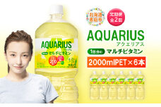 定期便 全2回 アクエリアス 1日分のマルチビタミン　2L PET×6本 | ビタミン マルチビタミン ビタミン飲料 健康飲料 スポーツドリンク 熱中症対策 水分補給 大容量 2Lペットボトル 6本セット 日常使い ビタミン補給 お取り寄せ 北海道 恵庭市【380086】