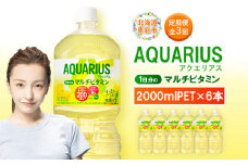 定期便 全3回 アクエリアス 1日分のマルチビタミン　2L PET×6本 | ビタミン マルチビタミン ビタミン飲料 健康飲料 スポーツドリンク 熱中症対策 水分補給 大容量 2Lペットボトル 6本セット 日常使い ビタミン補給 お取り寄せ 北海道 恵庭市【380087】