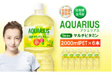 定期便 全4回 アクエリアス 1日分のマルチビタミン　2L PET×6本 | ビタミン マルチビタミン ビタミン飲料 健康飲料 スポーツドリンク 熱中症対策 水分補給 大容量 2Lペットボトル 6本セット 日常使い ビタミン補給 お取り寄せ 北海道 恵庭市【380088】