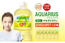 定期便 全5回 アクエリアス 1日分のマルチビタミン　2L PET×6本 | ビタミン マルチビタミン ビタミン飲料 健康飲料 スポーツドリンク 熱中症対策 水分補給 大容量 2Lペットボトル 6本セット 日常使い ビタミン補給 お取り寄せ 北海道 恵庭市【380089】