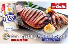 特製いかの一夜干し(5枚入り）とサッポロクラシックのセット【C99019】