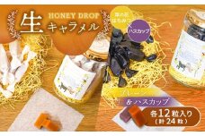 【HONEY DROP】菜の花はちみつ生キャラメル(プレーン・ハスカップ) 2ダース（24粒入り） |  生キャラメル キャラメル フルーツキャラメル ハスカップキャラメル 厚真町産ハスカップ 生乳 濃厚 贅沢 甘酸っぱい くちどけ お菓子 スイーツ 北海道スイーツ ご当地スイーツ お取り寄せ 北海道 恵庭市 恵庭【750003】