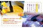 【HONEY DROP】菜の花はちみつ生キャラメル(プレーン・ハスカップ)2ダース（24粒入り）