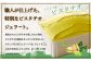 ジェラテリアGigiのイタリアンジェラート 『ピスタチオ』1000ml