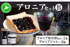 [5525-0343]北海道伊達大滝産アロニアセットB