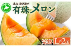 [5525-0477]北海道産 有珠メロン 2玉 セット 赤肉 Lサイズ 1.6kg以上×2玉 ツル付き レッドルピア 果物 めろん フルーツ くだもの 完熟 旬 ご褒美 ギフト お祝い 産地直送 お取り寄せ 北海道 藤川農園 送料無料 伊達