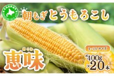 [5525-0482]北海道産 朝もぎ とうもろこし 恵味 L-LLサイズ 約400g×20本 スイートコーン ゴールドコーン トウモロコシ とうきび コーン 旬 完熟 野菜 甘い おやつ 産地直送 お取り寄せ 北海道 送料無料 伊達