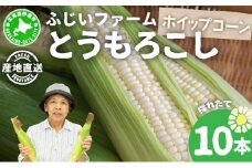 [5525-0483] 北海道産 とうもろこし ホワイト ホイップコーン 10本 Lサイズ トウモロコシ とうきび コーン スイートコーン 先行受付 新鮮 朝採り 産地直送 国産 野菜 農作物 甘い 白い 人気 BBQ ふじいファーム  送料無料