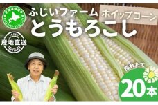 [5525-0485] 北海道産 とうもろこし ホワイト ホイップコーン 20本 Lサイズ とうきび コーン スイートコーン 先行受付 新鮮 朝採り 産地直送 国産 野菜 農作物 甘い 白い 人気 BBQ ふじいファーム  送料無料 北海道 