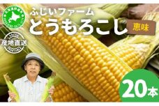 北海道産 とうもろこし 恵味 20本 Lサイズ トウモロコシ とうきび コーン スイートコーン 先行受付 新鮮 朝採り 産地直送 国産 野菜 農作物 甘い めぐみ 人気 BBQ ふじいファーム  送料無料