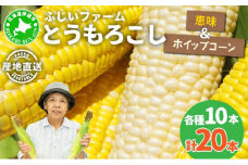 北海道産 とうもろこし 計20本 恵味 ホイップコーン トウモロコシ とうきび イエロー ホワイト コーン スイートコーン 旬 新鮮 産地直送 野菜 農作物 めぐみ ふじいファーム 送料無料 北海道 伊達　お届け：2025年7月下旬～9月15日頃まで