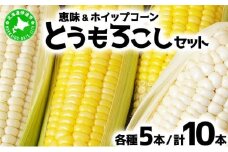 [5525-0497] 北海道 朝もぎ とうもろこし 恵味 ホイップコーン 各5本 計10本 L-LL サイズ 黄色 白色 トウモロコシ 黄 白 とうきび コーン 旬 完熟 甘い お取り寄せ 産地直送 北海道産
