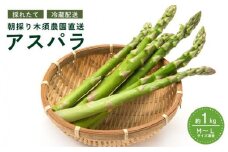 [5525-0512]【 2025年 発送 】 先行予約 生産者 直送 グリーン アスパラ 約 1kg M-L サイズ 新鮮 朝採り 野菜 あすぱら 木須農園 北海道 伊達市