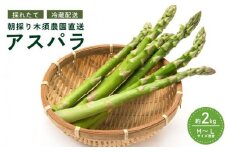 [5525-0513]【 2025年 発送 】 先行予約 生産者 直送 グリーン アスパラ 約 2kg M-L サイズ 新鮮 朝採り 野菜 あすぱら 木須農園 北海道 伊達市