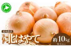 [5525-0515]【 2025年 発送 】 先行予約 北海道 玉ねぎ 10kg M-L混合 北はやて タマネギ たまねぎ 玉葱 玉ネギ オニオン 伊達野菜  野菜 新鮮 採れたて 産地直送 サラダ マリネ 肉じゃが オニオンスープ 木須農園 送料無料　 