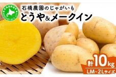[5525-0519]  北海道 じゃがいも 2種 とうや メークイン 食べ比べ セット 各5kg 計10kg LM～2L サイズ 先行受付 馬鈴薯 トウヤ メイクイーン ポテト イモ 根菜 農作物 産地直送