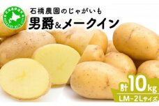 [5525-0520]  北海道 じゃがいも 2種 男爵 メークイン 食べ比べ セット 各5kg 計10kg LM～2Lサイズ 先行受付 馬鈴薯 だんしゃく メイクイーン ポテト イモ 根菜 農作物 産地直送