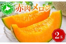 [5525-0522]【 2025年 発送 】 先行予約 北海道 伊達 産 赤肉 メロン 2玉 セット M～Lサイズ めろん 果物 フルーツ 産地直送