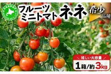 [5525-0524] 北海道産 ミニトマト ネネ 約3kg フルーツトマト 幻の 高糖度 ジューシー プチ トマト 甘い 濃厚 彩り 鮮やか 希少 お中元 お歳暮 暑中見舞い 帰省土産 ご自宅用 産地直送 大滝農園 送料無料 北海道 伊達