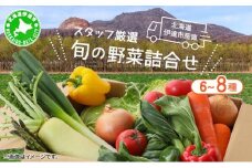 [5525-0527]【2025年 発送 】 先行予約 北海道 伊達市 産直 ・ 旬 の おまかせ 野菜 詰合せ