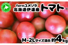 [5525-0711]◆2025年7月から順次出荷◆ farmユメソラ 大玉 トマト 約4kg