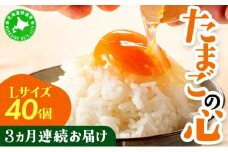 [5525-0758]3ヵ月連続お届け  たまごの心 40個 Lサイズ  太陽の園  の平飼たまご  有精卵 北海道 伊達市 たまご 卵 生たまご 鶏卵 北海道産 鶏の卵 ポリスブラウン 食材 卵かけごはん TKG オムレツ オムライス 【農福連携】