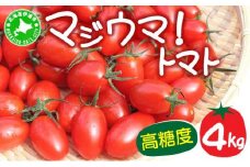[5525-0782]◆2025年8月より順次出荷◆北海道 伊達 岡本園芸 ミニトマト 高糖度 約4kg【マジウマ！トマト】